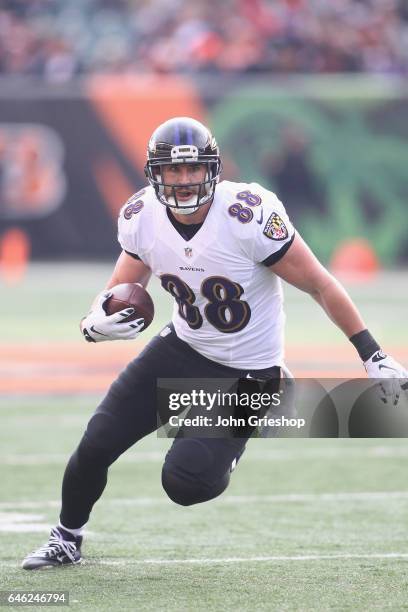 Dennis Pitta of the Baltimore Ravens runs the football upfield during the game against the Cincinnati Bengals at Paul Brown Stadium on January 1,...