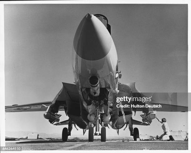 Tomcat with Phoenix Missiles