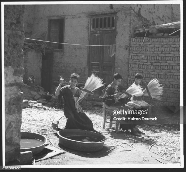 The Truth about Egypt. Boys making brushes in a Cairo street, Egypt in 1951. Hahas Pasha, the Egyptian Premier, has annulled the Treaty with Britain...