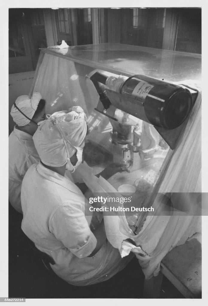 Women Producing Tuberculosis Treatment