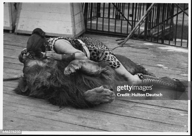 Woman Riding A Leopard 137 Woman Lion Trainer Stock Photos, High-Res Pictures, and Images ...
