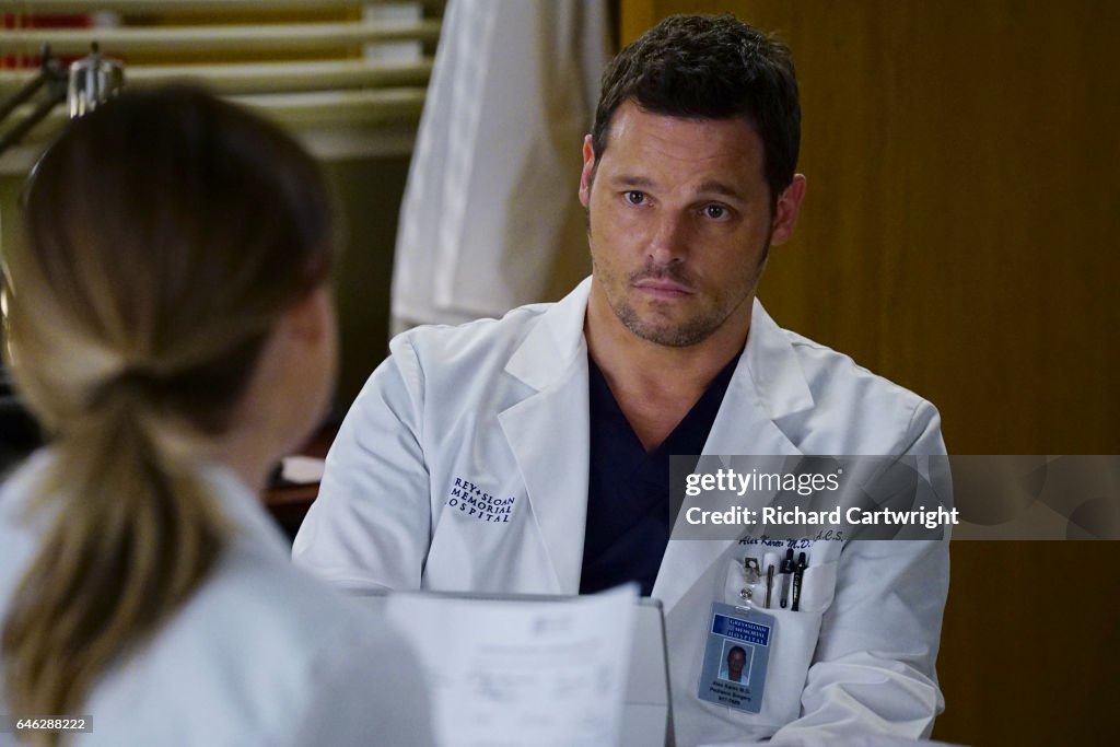 ABC's "Grey's Anatomy" - Season Thirteen