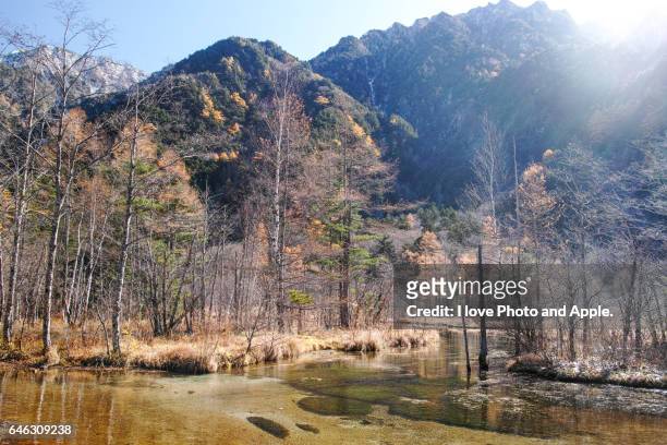 kamikochi autumn scenery - japanese larch stock pictures, royalty-free photos & images