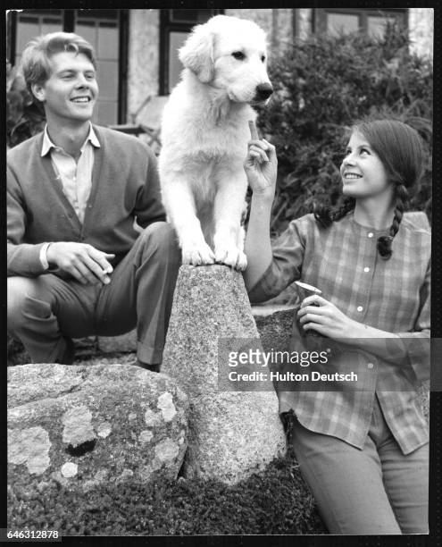 Actor James Fox with actress Sarah Miles and her dog Addo in Cornwall, England, 1962.