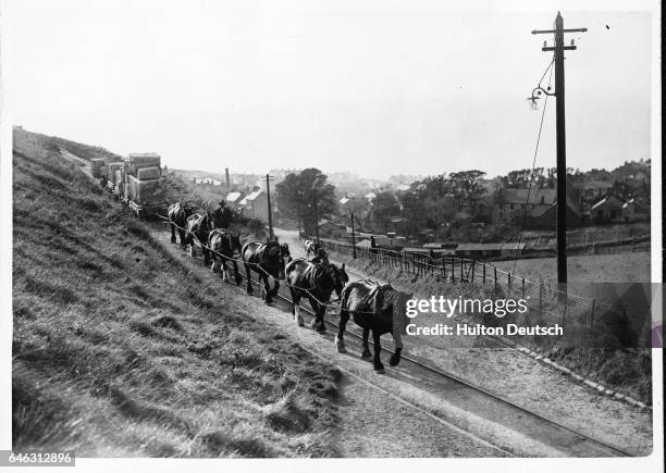 Quarry Riding Quarry Horses Photos and Premium High Res Pictures - Getty Images