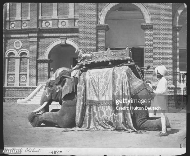 Howdah Def 360 Howdah Stock Photos, High-Res Pictures, and Images - Getty Images