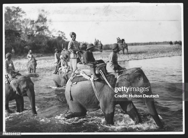 Elephants Crossing a River