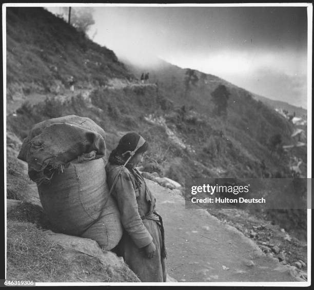 Porter en route to Darjeeling, rests for a moment at the edge of a mountain path. Goods traveling to the town from the south have had to be carried...