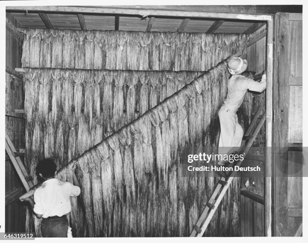 Filipino Rope Factory 456 Manila Rope Stock Photos, High-Res Pictures, and Images - Getty Images