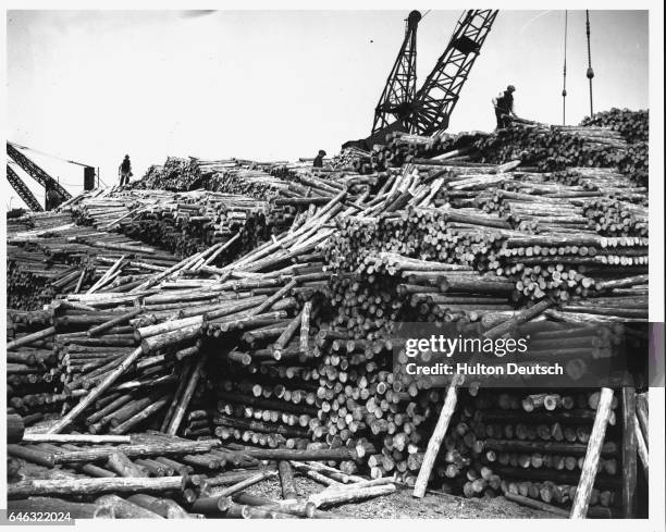 Newly arrived pit-props at Cardiff Docks, 1938. The pit-props are for use in the mines.