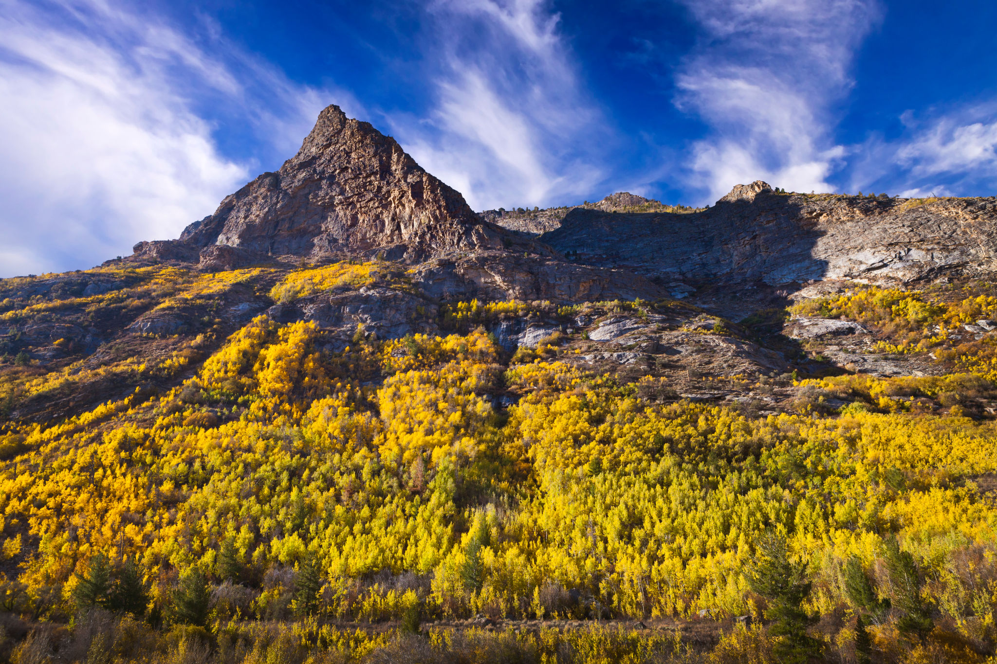 elko landscape