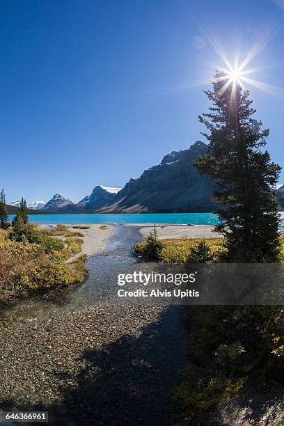 bow lake banff np canada - rio bow - fotografias e filmes do acervo