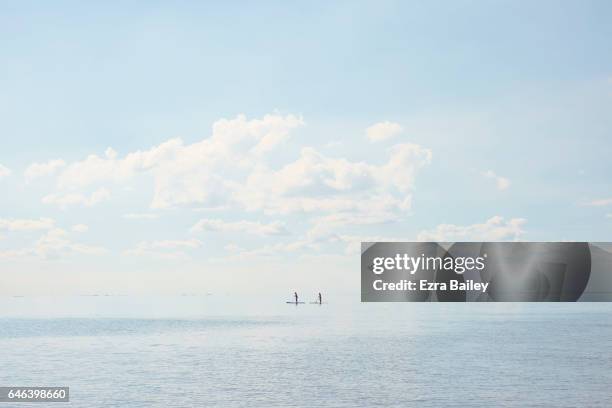 paddle boarders on a calm sea - light blue stock pictures, royalty-free photos & images