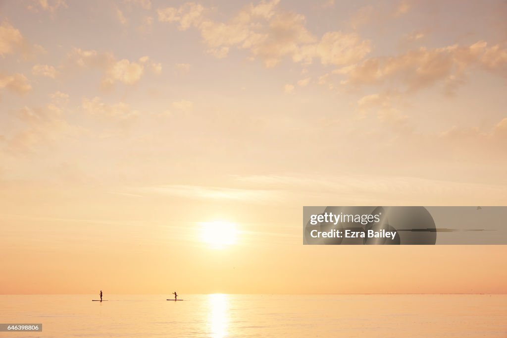 Paddle boarders on a calm sea at sunset