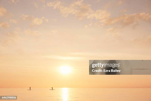 paddle boarders on a calm sea at sunset - linha do horizonte sobre água - fotografias e filmes do acervo