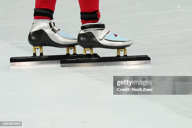 The XXII Winter Olympic Games 2014 in Sotchi, Olympics - Olympische Winterspiele Sotschi 2014, Men's 5000m Relay Short Track, Final, Feature,