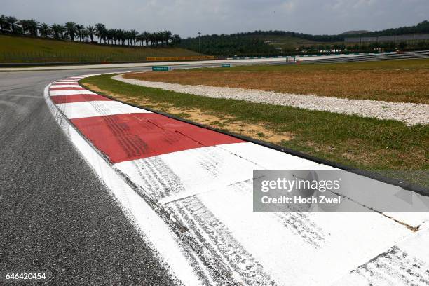 Formula One World Championship 2014, Grand Prix of Malaysia, Sepang International Circuit, track, Rennstrecke, tyres marks, skidmarks, Fahrbahn,...