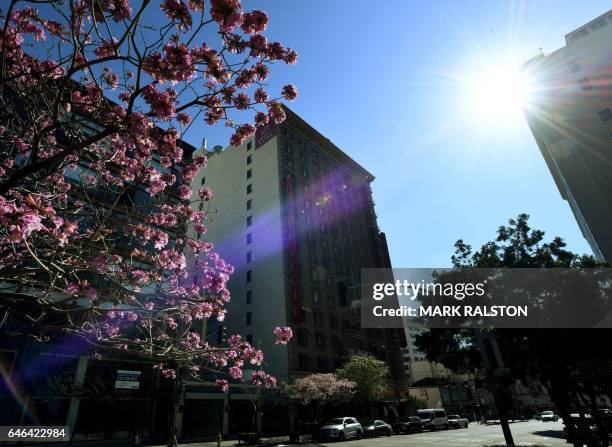 The infamous Hotel Cecil was named a historic-cultural monument by the City Council in a unanimous 10-0 vote in Los Angeles, California on February...