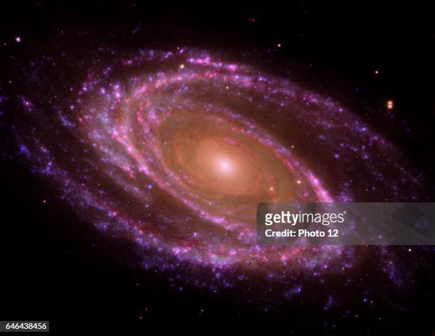 The spiral galaxy known as Messier 81, or M81. GALEX Orbiter,Hubble Space Telescope,Spitzer Space Telescope.