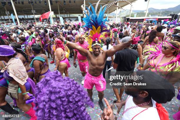 Masqueraders with Mardi Gras present 'Amazonia' in the Queen's Park Savannah during Trinidad Carnival on February 28, 2017 in Port of Spain, Trinidad.
