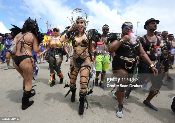 Masqueraders with Mardi Gras present 'Amazonia' in the Queen's Park Savannah during Trinidad Carnival on February 28, 2017 in Port of Spain, Trinidad.