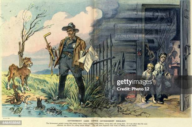 Neglected Example Cartoon Neglect Cartoon Photos and Premium High Res Pictures - Getty Images