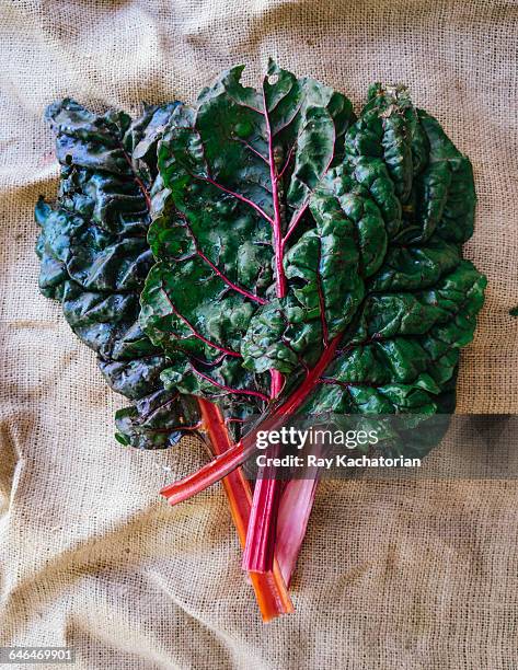 rhubarb bunch - rabarber stockfoto's en -beelden