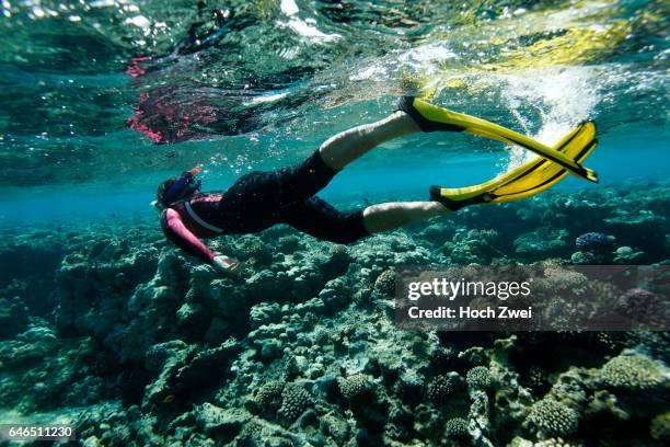 Watersports / Kitesurf, Weltbeste Kitesurfer fliegen auf Aegypten, Sabrina Lutz , beim Tauchen in Soma Bay vor dem Fahrerhotel Palm Royale Resort,...