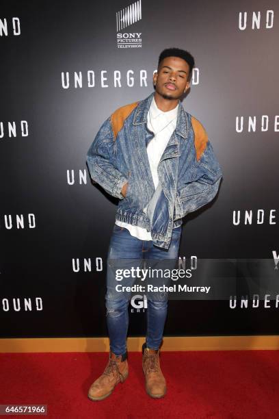 Actor Trevor Jackson attends WGN America's "Underground" Season Two Premiere Screening at Regency Village Theatre on March 1, 2017 in Westwood,...