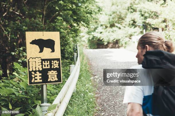 excursionista caminando en una carretera mirando el signo del oso - oso fotografías e imágenes de stock
