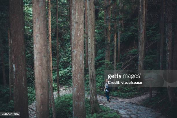hiker between nakasendo trail trees - cryptomeria japonica stock pictures, royalty-free photos & images