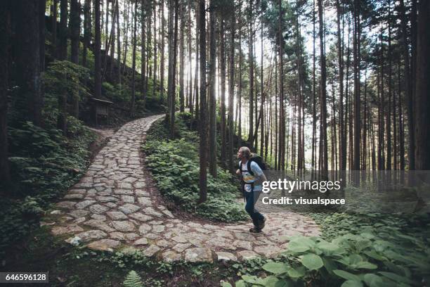 hiker climbing a pathway on nakasendo trail - kiso road stock pictures, royalty-free photos & images