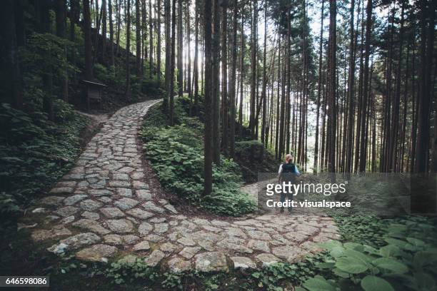 hiker climbing a pathway on nakasendo trail - long journey stock pictures, royalty-free photos & images