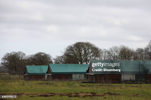 Mobile poultry housing stand in fields at Traditional Norfolk Poultry Ltd. In Shropham U.K., on Friday, Feb. 3, 2017. Traditional Norfolk Poultry...