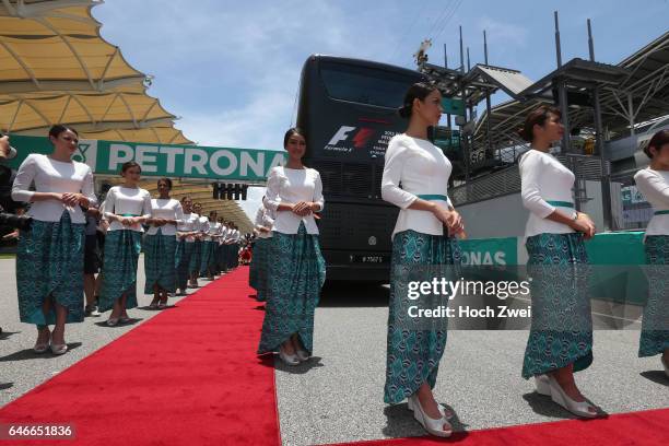 Formula One World Championship 2015, Grand Prix of Malaysia, grid girls