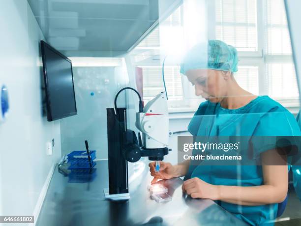 woman working with a microscope - artificial insemination stock pictures, royalty-free photos & images