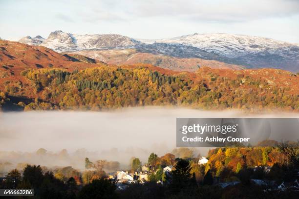 langdale pikes over loughrigg, above ambleside in the lake district, uk in autumn. - loughrigg fells stock-fotos und bilder