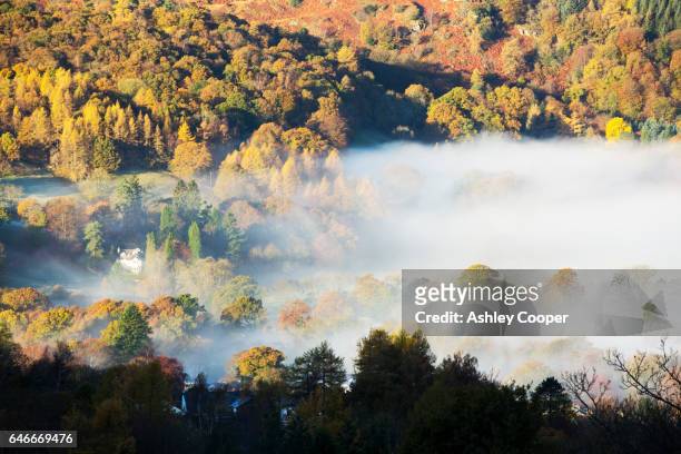 mist in the vale of rydal, ambleside, lake district, uk. - loughrigg fells - fotografias e filmes do acervo