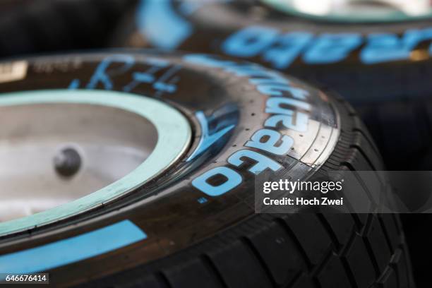 Formula One World Championship 2015, Grand Prix of Bahrain, Pirelli, tire, tires, tyre, tyres, wheel, wheels, Reifen, Rad, feature