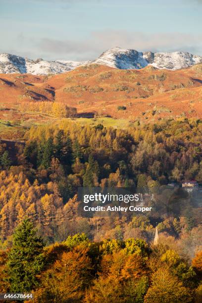 bow fell over ambleside, lake district, uk. - loughrigg fells stock-fotos und bilder