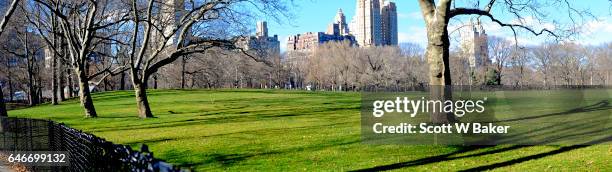 panoramic image of sheep meadow in central park - sheep meadow central park stock pictures, royalty-free photos & images