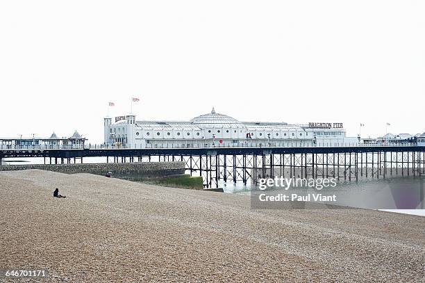 brighton pier early morning - brighton beach stock pictures, royalty-free photos & images