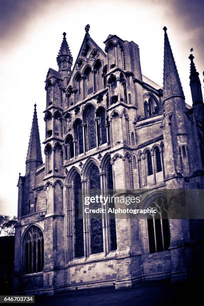 ely catedral  - catedral de ely fotografías e imágenes de stock