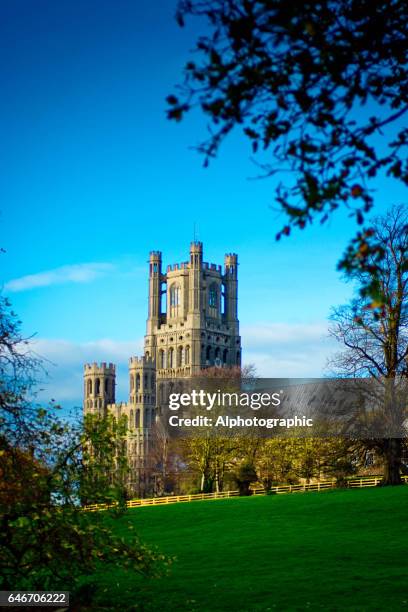 ely catedral  - catedral de ely fotografías e imágenes de stock