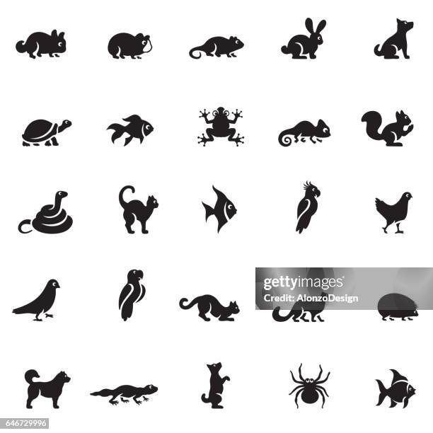 ilustraciones, imágenes clip art, dibujos animados e iconos de stock de conjunto de iconos de animales - reptile