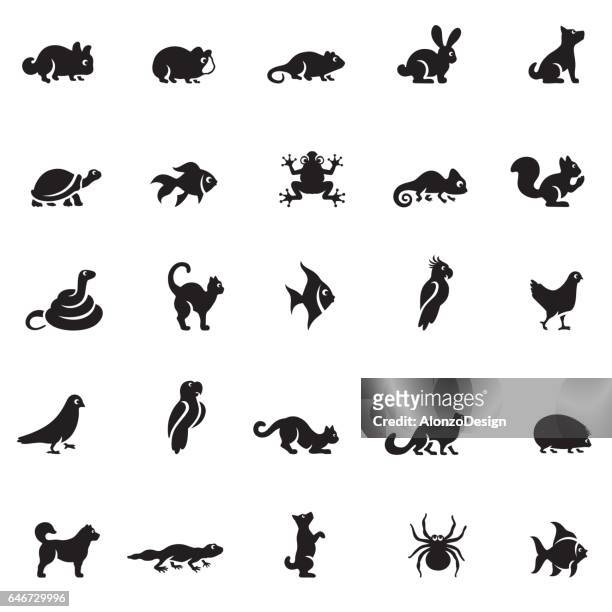 pets icon set - domestic animals stock illustrations