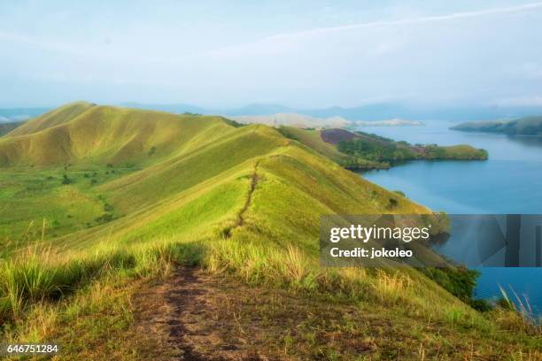 sentani lake - gulf shores alabama stock-fotos und bilder