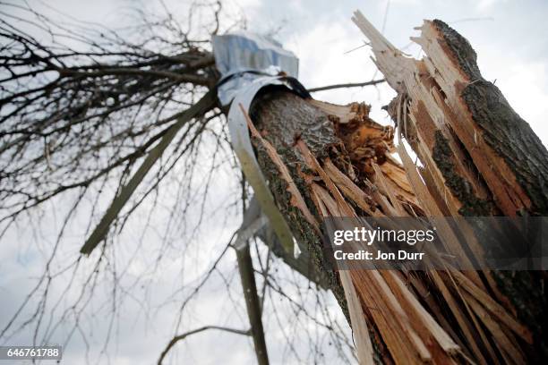 Us Tornado Metal Tree Photos and Premium High Res Pictures - Getty Images