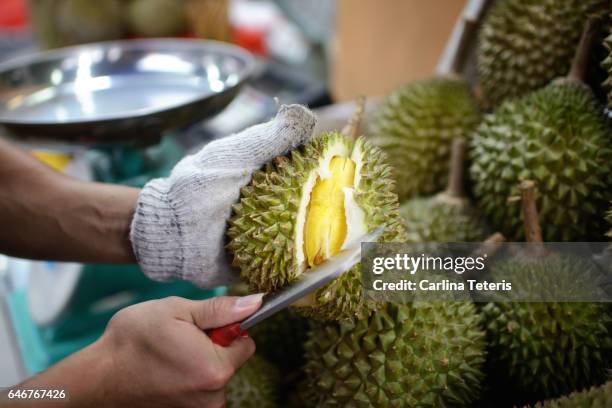 fruit vendor opening a fresh durian - durian stock pictures, royalty-free photos & images