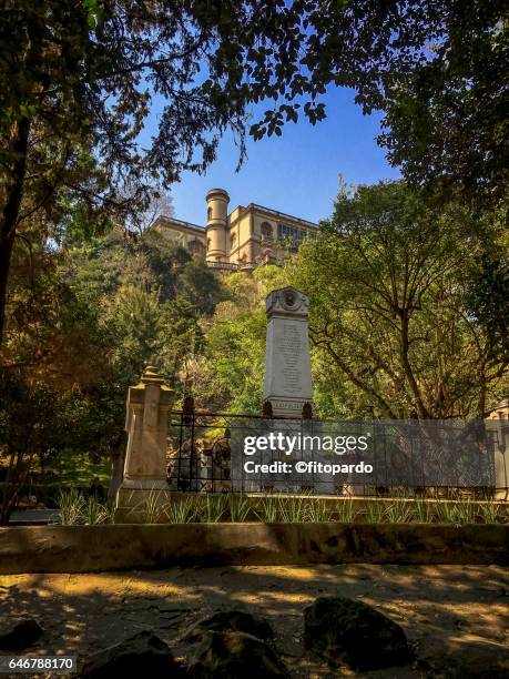 obelisk to the young hero kids with the chapultepec castle in the background - castillo de chapultepec stock pictures, royalty-free photos & images